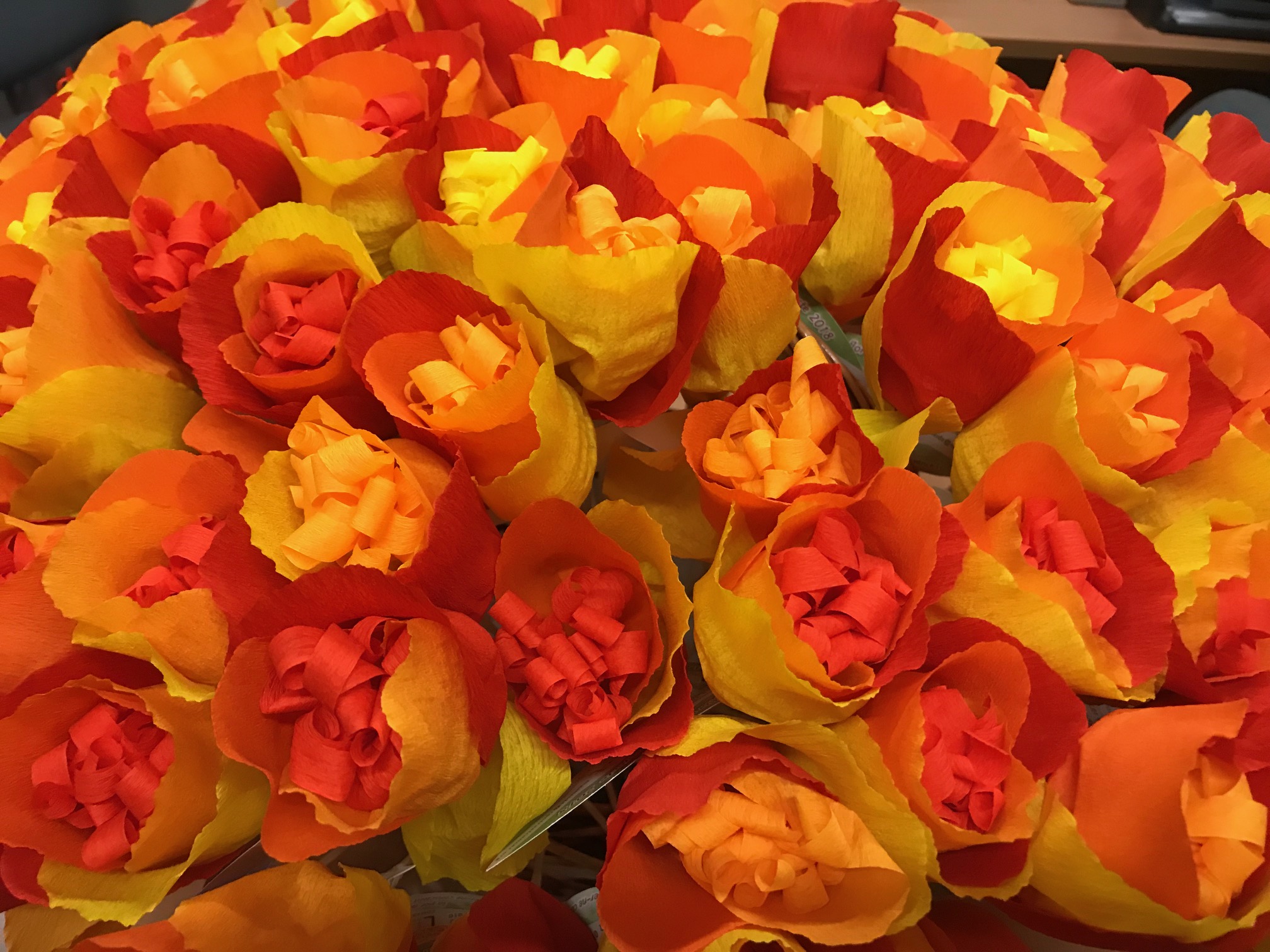projectes_flors_2018