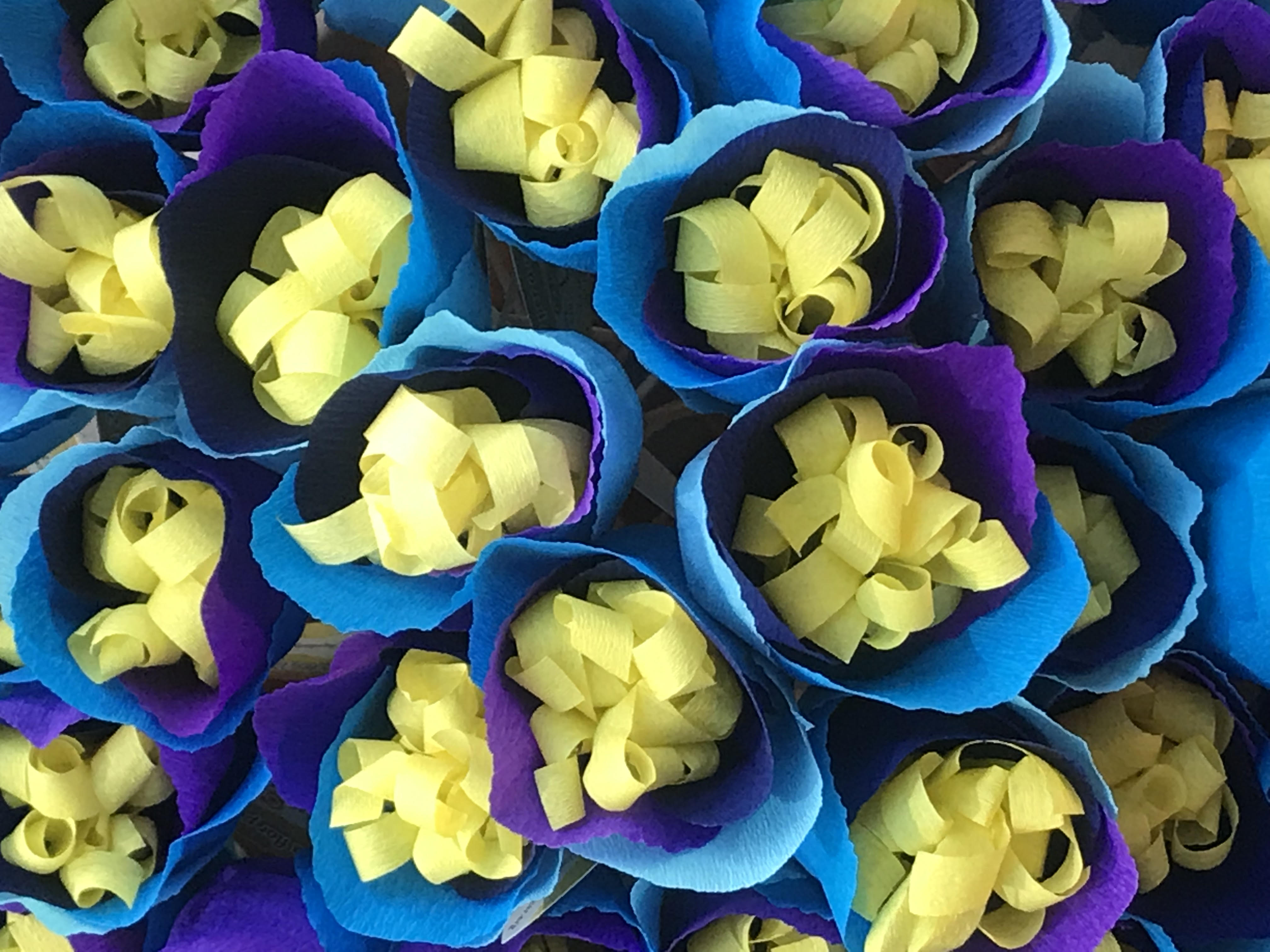 Projecte Flor 2019 Projecte Flor 2019